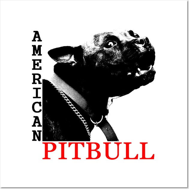 american pitbull terrier Wall Art by hottehue